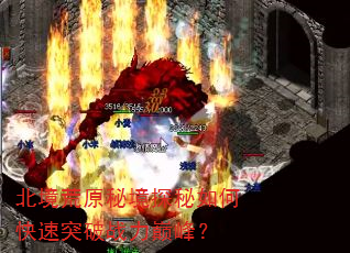 北境荒原秘境探秘如何快速突破战力巅峰? 北境荒原秘境探秘如何快速突破战力巅峰?