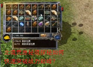 北境荒原秘境探秘如何快速突破战力巅峰? 北境荒原秘境探秘如何快速突破战力巅峰?