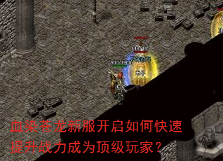 血染苍龙新服开启如何快速提升战力成为顶级玩家? 血染苍龙新服开启如何快速提升战力成为顶级玩家?