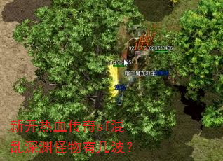 新开热血传奇sf混乱深渊怪物有几波? 新开热血传奇sf混乱深渊怪物有几波?