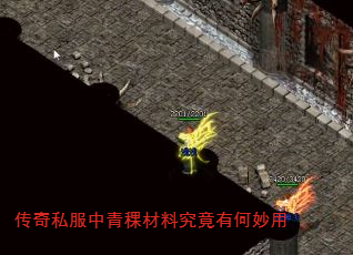 传奇私服中青稞材料究竟有何妙用 传奇私服中青稞材料究竟有何妙用