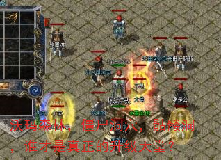 沃玛森林,僵尸洞穴,骷髅洞,谁才是真正的升级天堂? 沃玛森林,僵尸洞穴,骷髅洞,谁才是真正的升级天堂?