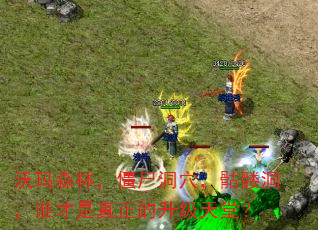 沃玛森林,僵尸洞穴,骷髅洞,谁才是真正的升级天堂? 沃玛森林,僵尸洞穴,骷髅洞,谁才是真正的升级天堂?