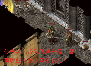 传奇老鸟带队飞速升级,都有哪些不为人知的技巧? 传奇老鸟带队飞速升级,都有哪些不为人知的技巧?