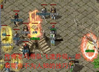 传奇老鸟带队飞速升级,都有哪些不为人知的技巧? 传奇老鸟带队飞速升级,都有哪些不为人知的技巧?