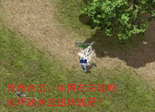 传奇合击:如何在关键时刻释放合击扭转战局? 传奇合击:如何在关键时刻释放合击扭转战局?