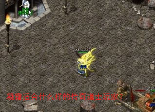 凝霜适合什么样的传奇道士玩家? 凝霜适合什么样的传奇道士玩家?