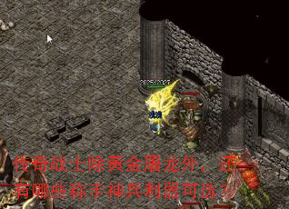 ����սʿ���ƽ������⣬������Щ�������������ѡ��