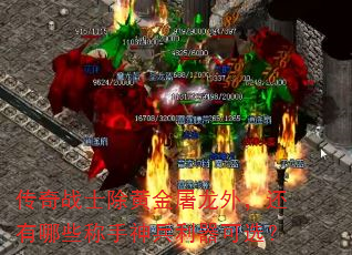 传奇战士除黄金屠龙外,还有哪些称手神兵利器可选? 传奇战士除黄金屠龙外,还有哪些称手神兵利器可选?