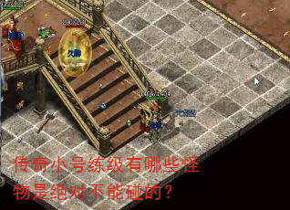 传奇小号练级有哪些怪物是绝对不能碰的? 传奇小号练级有哪些怪物是绝对不能碰的?