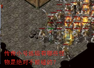 传奇小号练级有哪些怪物是绝对不能碰的? 传奇小号练级有哪些怪物是绝对不能碰的?