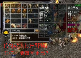 传奇战士打白野猪,怎样才能效率更高? 传奇战士打白野猪,怎样才能效率更高?