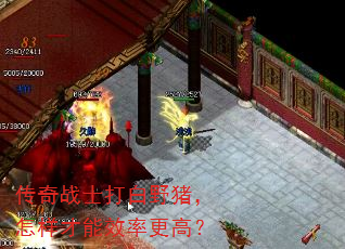 传奇战士打白野猪,怎样才能效率更高? 传奇战士打白野猪,怎样才能效率更高?