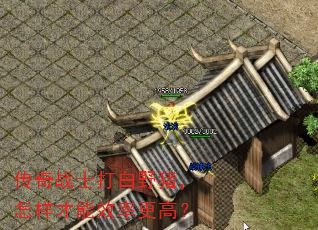 传奇战士打白野猪,怎样才能效率更高? 传奇战士打白野猪,怎样才能效率更高?