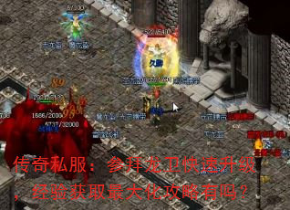 传奇私服:参拜龙卫快速升级,经验获取最大化攻略有吗? 传奇私服:参拜龙卫快速升级,经验获取最大化攻略有吗?