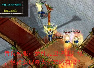 传奇私服:参拜龙卫快速升级,经验获取最大化攻略有吗? 传奇私服:参拜龙卫快速升级,经验获取最大化攻略有吗?
