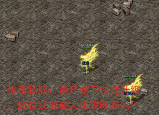 传奇私服:参拜龙卫快速升级,经验获取最大化攻略有吗? 传奇私服:参拜龙卫快速升级,经验获取最大化攻略有吗?