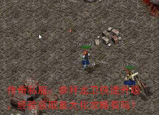 传奇私服:参拜龙卫快速升级,经验获取最大化攻略有吗? 传奇私服:参拜龙卫快速升级,经验获取最大化攻略有吗?