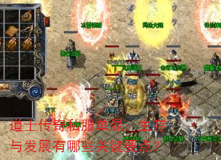 道士传奇私服单混:生存与发展有哪些关键要点? 道士传奇私服单混:生存与发展有哪些关键要点?