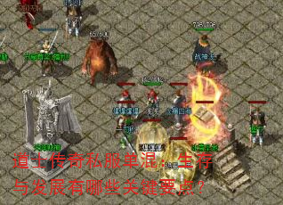 道士传奇私服单混:生存与发展有哪些关键要点? 道士传奇私服单混:生存与发展有哪些关键要点?