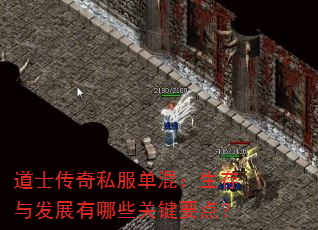 道士传奇私服单混:生存与发展有哪些关键要点? 道士传奇私服单混:生存与发展有哪些关键要点?