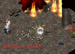 新手刷BOSS只能组队吗? 新手刷BOSS只能组队吗?