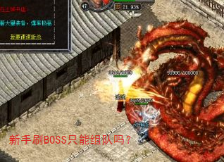 新手刷BOSS只能组队吗? 新手刷BOSS只能组队吗?