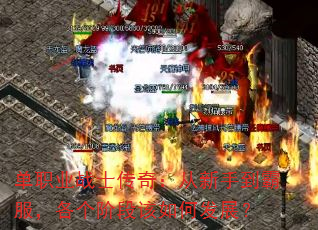 单职业战士传奇:从新手到霸服,各个阶段该如何发展? 单职业战士传奇:从新手到霸服,各个阶段该如何发展?