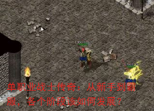 单职业战士传奇:从新手到霸服,各个阶段该如何发展? 单职业战士传奇:从新手到霸服,各个阶段该如何发展?