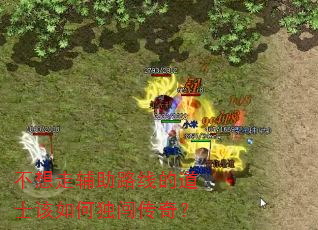 不想走辅助路线的道士该如何独闯传奇? 不想走辅助路线的道士该如何独闯传奇?