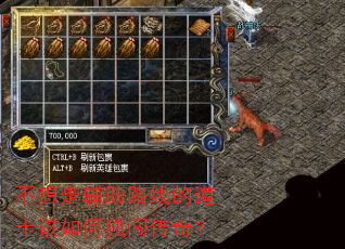 不想走辅助路线的道士该如何独闯传奇? 不想走辅助路线的道士该如何独闯传奇?