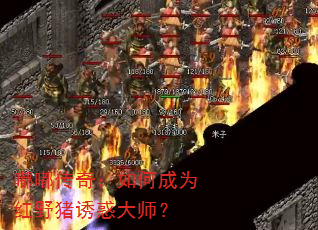 嘟嘟传奇:如何成为红野猪诱惑大师? 嘟嘟传奇:如何成为红野猪诱惑大师?