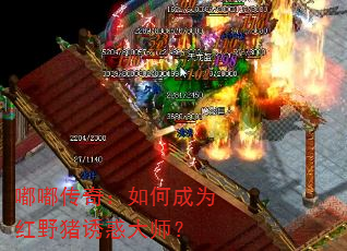 嘟嘟传奇:如何成为红野猪诱惑大师? 嘟嘟传奇:如何成为红野猪诱惑大师?