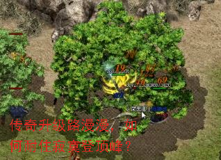 传奇升级路漫漫,如何耐住寂寞登顶峰? 传奇升级路漫漫,如何耐住寂寞登顶峰?