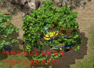 传奇私服玩家如何操作才能幸运值突破9点? 传奇私服玩家如何操作才能幸运值突破9点?