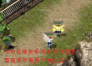 传奇私服发布网金币日常搜集有哪些需要注意的点? 传奇私服发布网金币日常搜集有哪些需要注意的点?