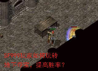 SF999玩家如何玩转地下夺宝,提高胜率? SF999玩家如何玩转地下夺宝,提高胜率?