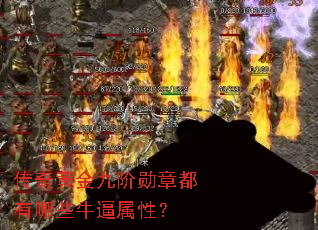 传奇黄金九阶勋章都有哪些牛逼属性? 传奇黄金九阶勋章都有哪些牛逼属性?