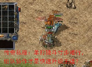 传奇私服:单打独斗寸步难行,组队协作才是快速升级王道? 传奇私服:单打独斗寸步难行,组队协作才是快速升级王道?