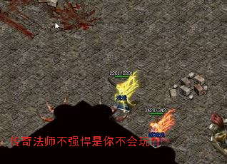 传奇法师不强悍是你不会玩? 传奇法师不强悍是你不会玩?