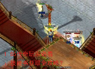 1.85传奇玩家必看:技能书获取全攻略? 1.85传奇玩家必看:技能书获取全攻略?