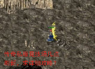 传奇私服竞技场几点刷新,求详细攻略? 传奇私服竞技场几点刷新,求详细攻略?