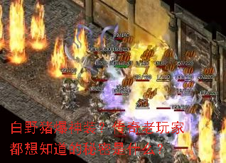 白野猪爆神装?传奇老玩家都想知道的秘密是什么? 白野猪爆神装?传奇老玩家都想知道的秘密是什么?