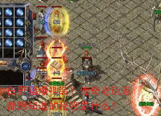 白野猪爆神装?传奇老玩家都想知道的秘密是什么? 白野猪爆神装?传奇老玩家都想知道的秘密是什么?