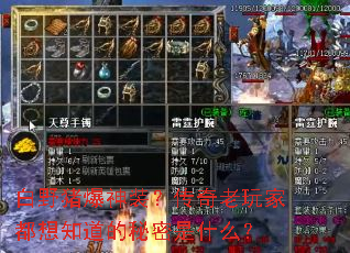 白野猪爆神装?传奇老玩家都想知道的秘密是什么? 白野猪爆神装?传奇老玩家都想知道的秘密是什么?