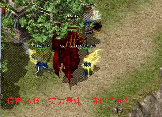 传奇私服:实力悬殊,待遇各异? 传奇私服:实力悬殊,待遇各异?