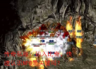 传奇私服:初入比奇,快速认识NPC是关键吗? 传奇私服:初入比奇,快速认识NPC是关键吗?