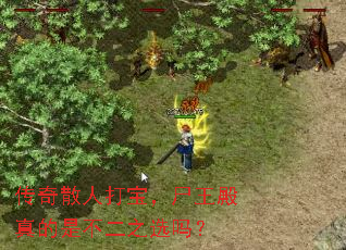 传奇散人打宝,尸王殿真的是不二之选吗? 传奇散人打宝,尸王殿真的是不二之选吗?