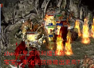 zhaosf里法师和道士的宝宝,哪个更抗揍输出更高? zhaosf里法师和道士的宝宝,哪个更抗揍输出更高?