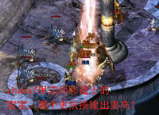 zhaosf里法师和道士的宝宝,哪个更抗揍输出更高? zhaosf里法师和道士的宝宝,哪个更抗揍输出更高?